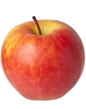 Picture of Apple Fruit 1 Pc