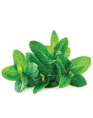 Picture of Mint Leaves 1 Lbs