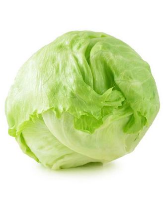 Picture of Iceberg Lettuce Cello 1 Pc