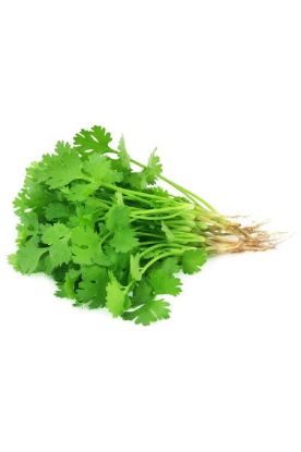 Picture of Cilantro 1 Pc