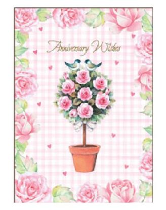 Picture of Premium Greetings 3 Deez Cards 1 Pk