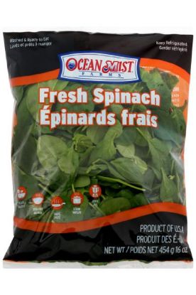 Picture of Ocean Mist Fresh Spinach 10 Oz