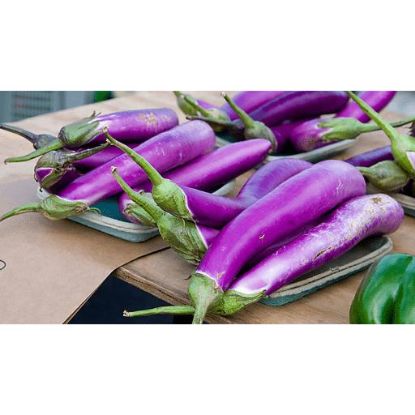 Picture of Japanese/Chinese Eggplant 1 Lb