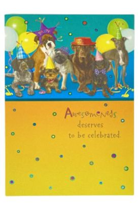 Picture of American Greetings Conventional Birthday 1 Pc