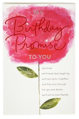 Picture of American Greetings Conventional Birthday 1 Pc
