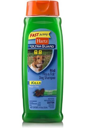 Picture of Hartz Rid Flea & Tick Dog Shampoo Fresh Scent 18 Oz