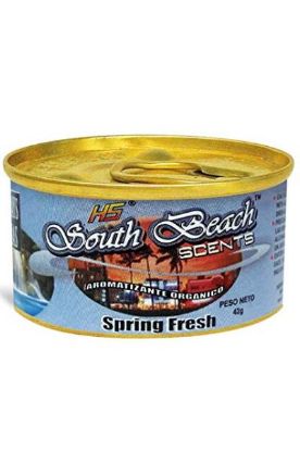 Picture of Hs South Beach Scents Spring Fresh Air Freshener 42 G
