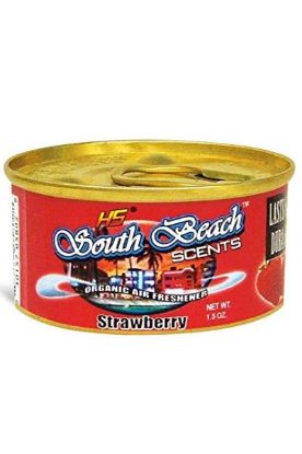 Picture of Hs South Beach Scents Leather Air Freshener 35 G