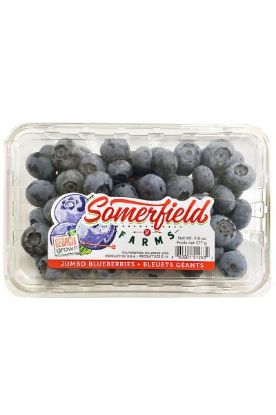 Picture of Blueberries 551 Ml