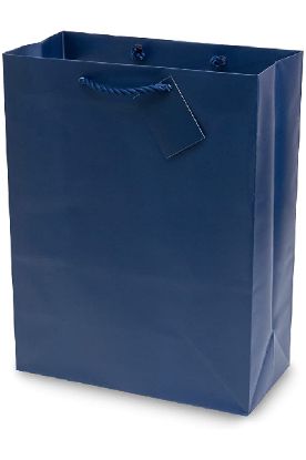 Picture of Unique Medium Bright/Bold Gift Bag 1 Ct