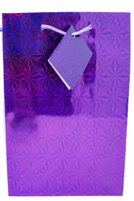 Picture of Unique Medium Solid Holographic Gift Bag 1 Ct