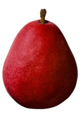 Picture of Viva Tierra Red Pear 1 Lbs