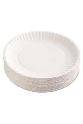 Picture of Table Accents Compostable Paper Plate 9 Inch 10 Ct
