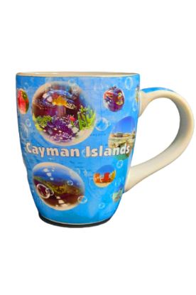 Picture of Cayman Island Bubble Mug 1 Ct